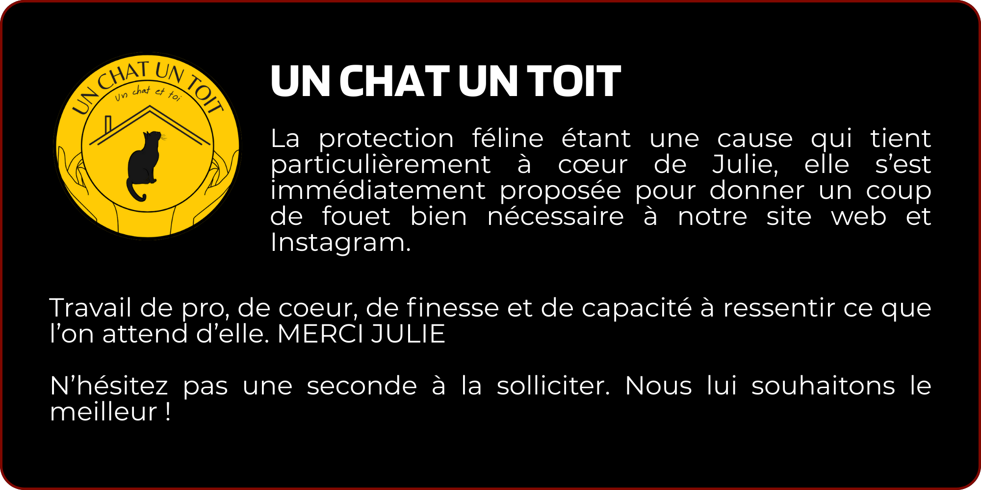 Avis Un chat un toit Avis Un chat un toit